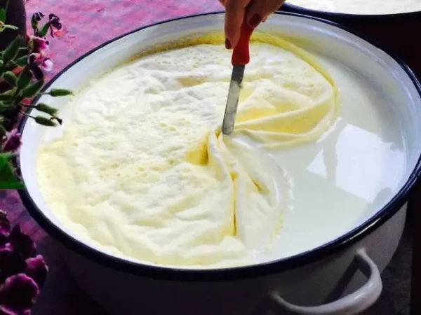 Frasco de vidrio lleno de Nata fresca y espesa, con una cuchara de madera.