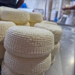 Canasta de Queso Panela fresco y blanco, con las marcas del molde visibles.