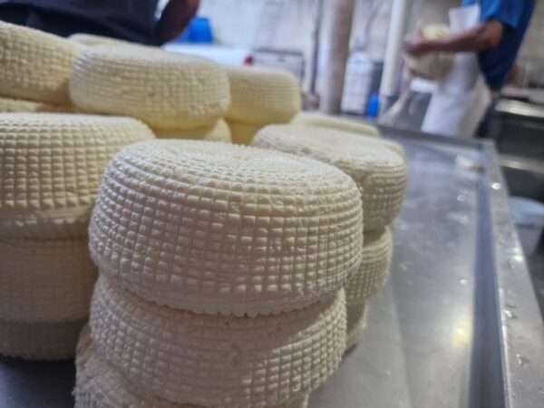 Canasta de Queso Panela fresco y blanco, con las marcas del molde visibles.
